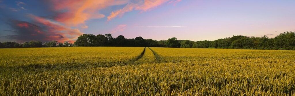 Acclima TDR Soil Moisture Sensors and SDI-12 Data Loggers