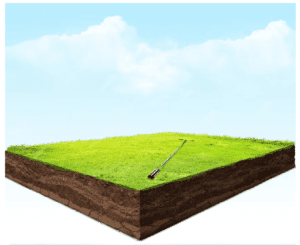 Auger on Grass - Acclima